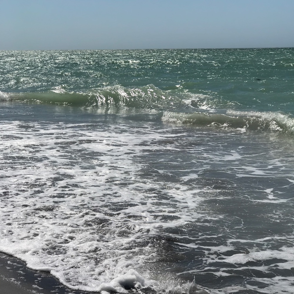 Hevans - Picture 12 of 12